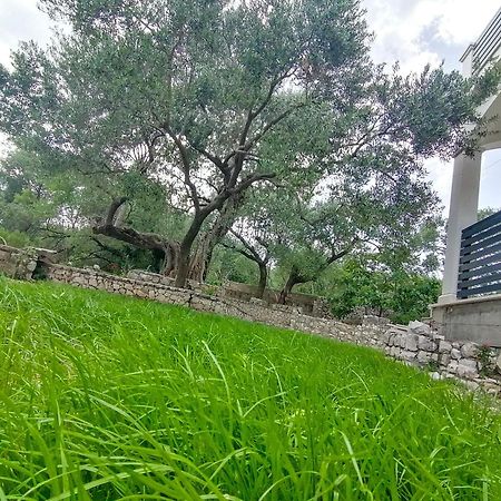 Vila Dolani Klek Εξωτερικό φωτογραφία