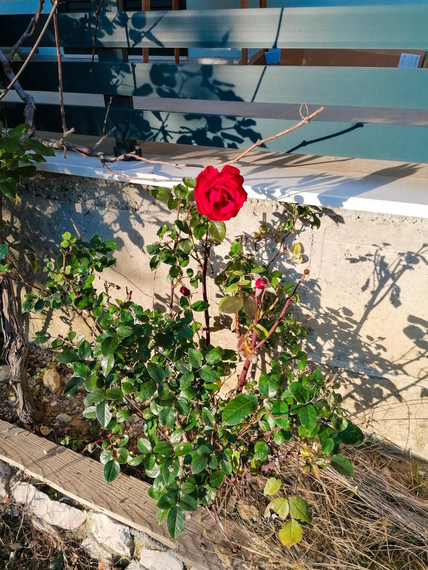 Vila Dolani Klek Εξωτερικό φωτογραφία