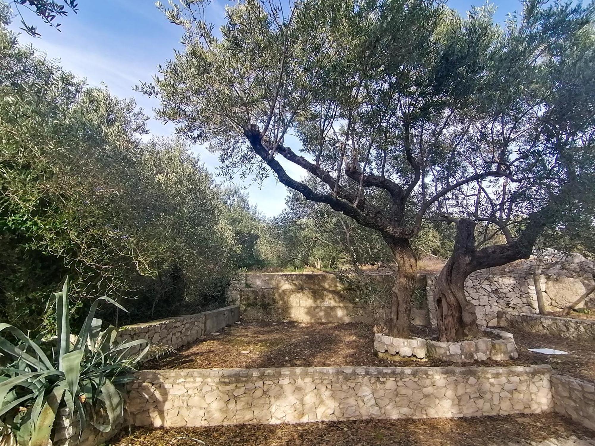 Vila Dolani Klek Εξωτερικό φωτογραφία