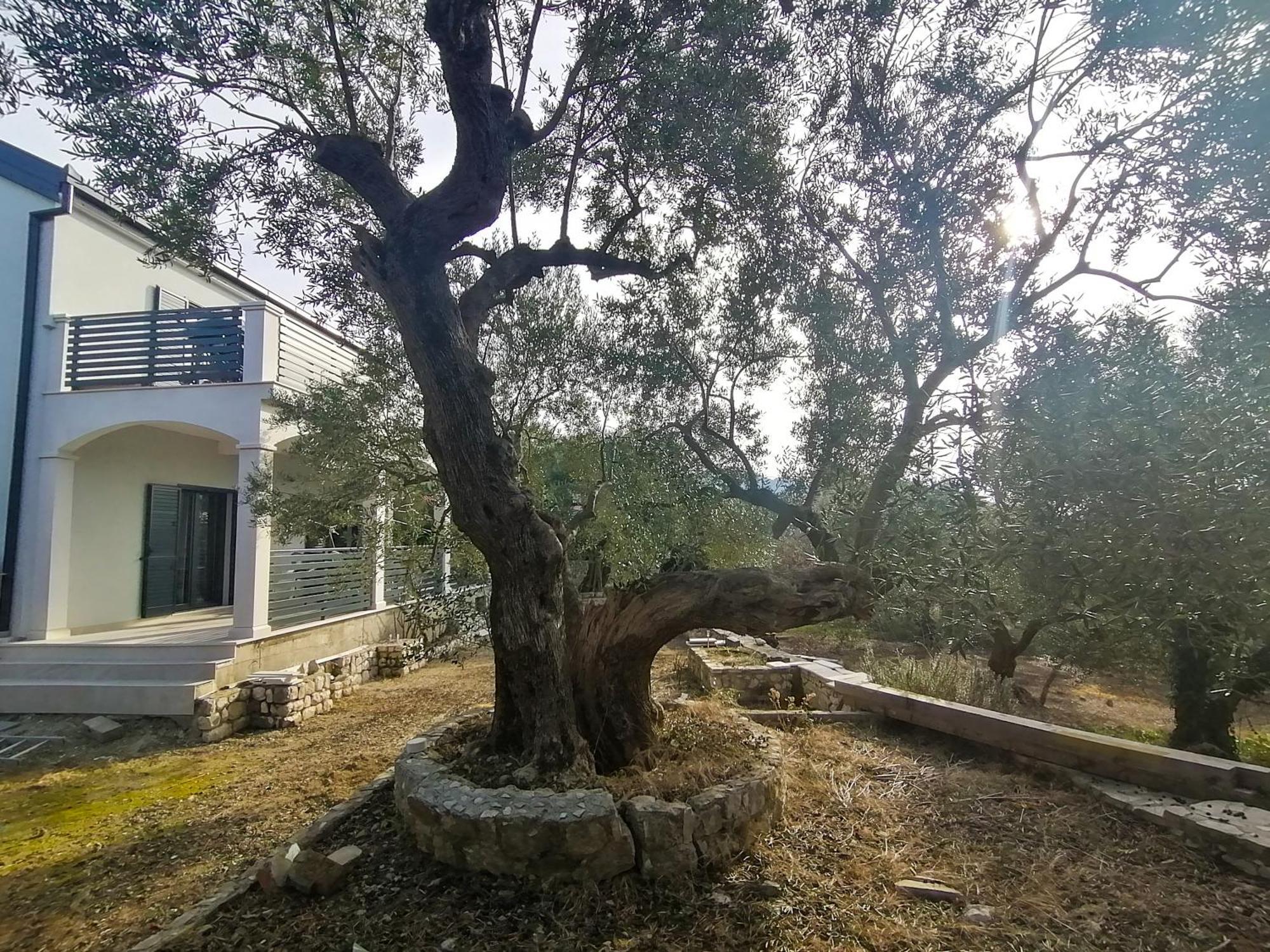 Vila Dolani Klek Εξωτερικό φωτογραφία