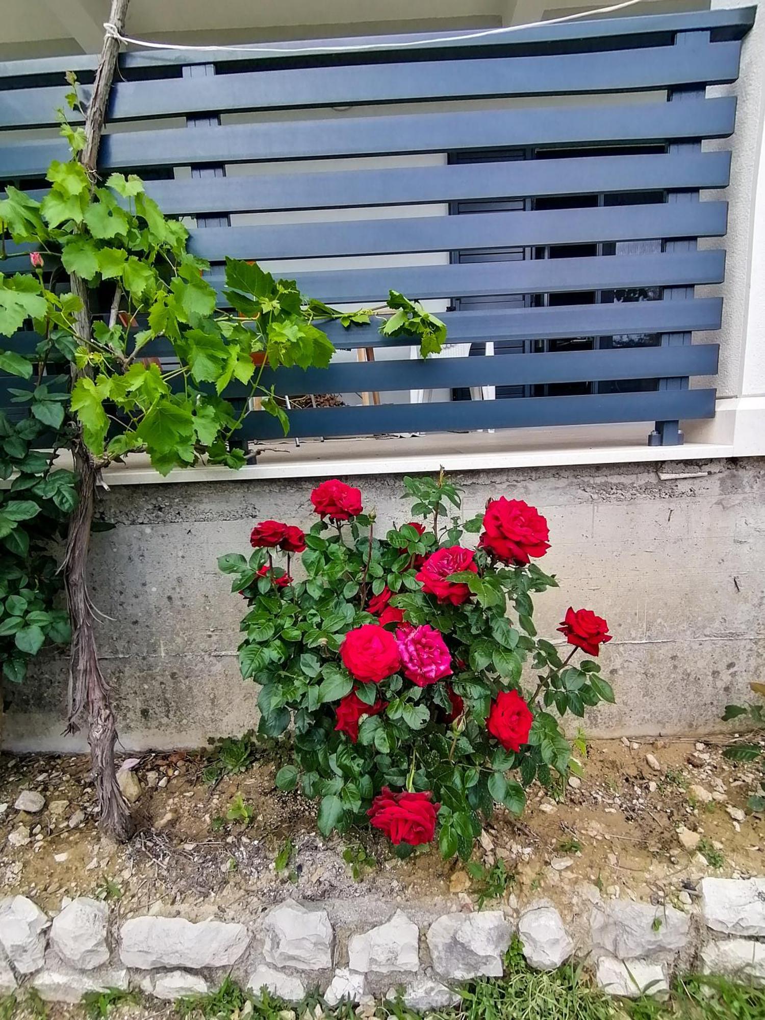 Vila Dolani Klek Εξωτερικό φωτογραφία