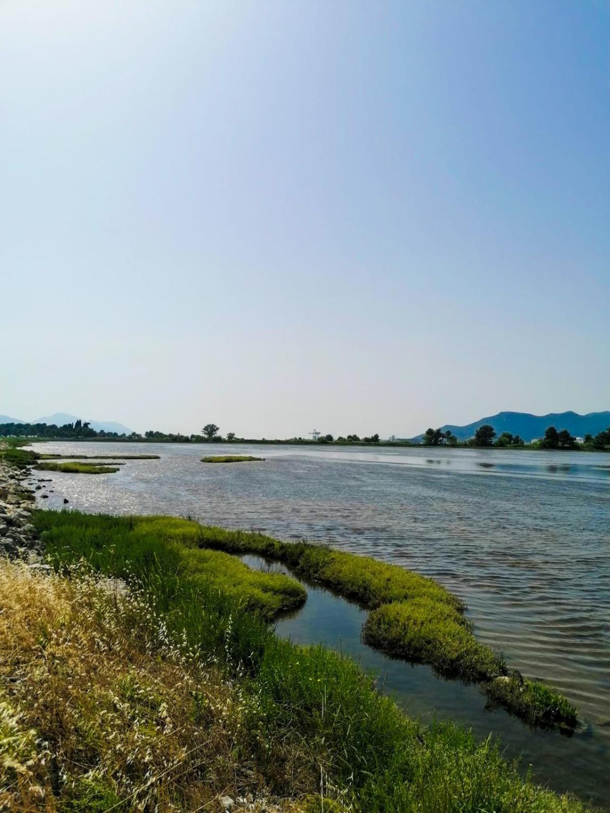 Vila Dolani Klek Δωμάτιο φωτογραφία